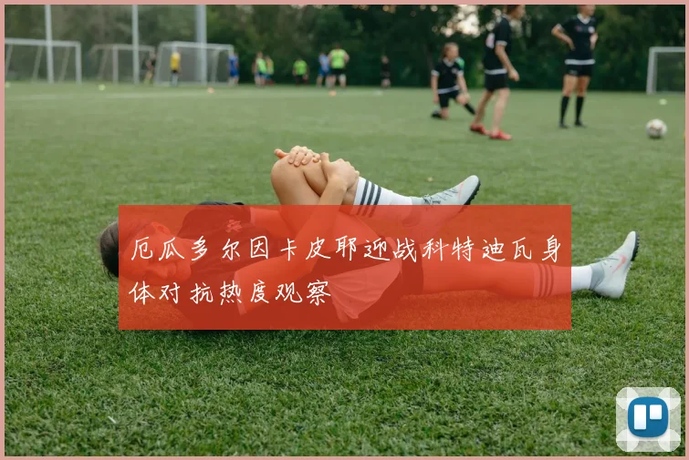厄瓜多尔因卡皮耶迎战科特迪瓦身体对抗热度观察