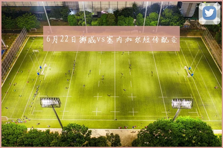 6月22日挪威vs塞内加尔短传配合